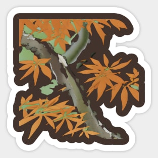 Peaceful Maple Sticker